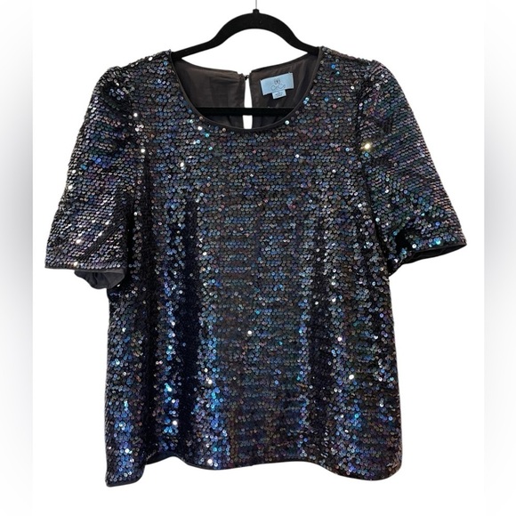 CeCe Tops - Cece Women’s Iridescent Sequin Mesh Dressy Blouse Top Shirt Dressy Party Size XL